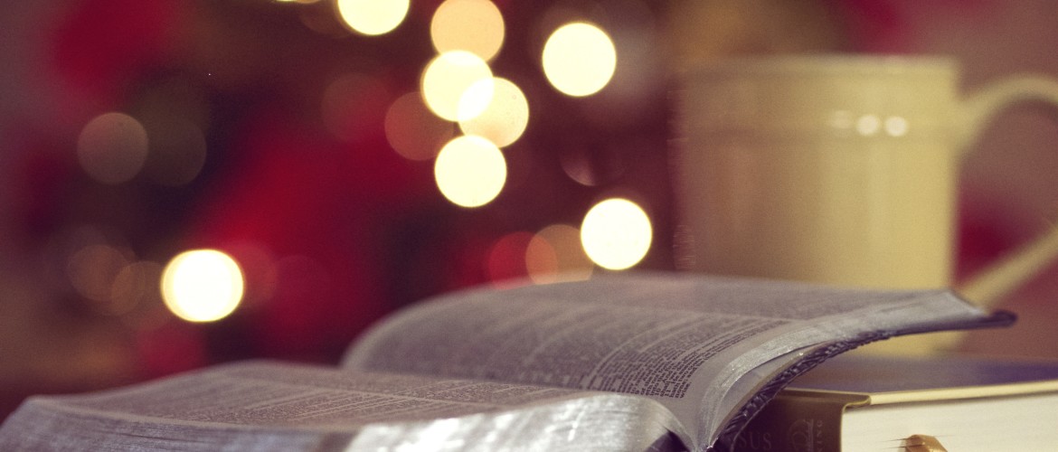 Psychoterapię dorosłych, młodzieży i dzieci, coaching, warsztaty rozwojowe, szkolenia dla firm, konsultacja psychologiczna, terapia grupowa, action learning, wykłady i spotkania otwarte